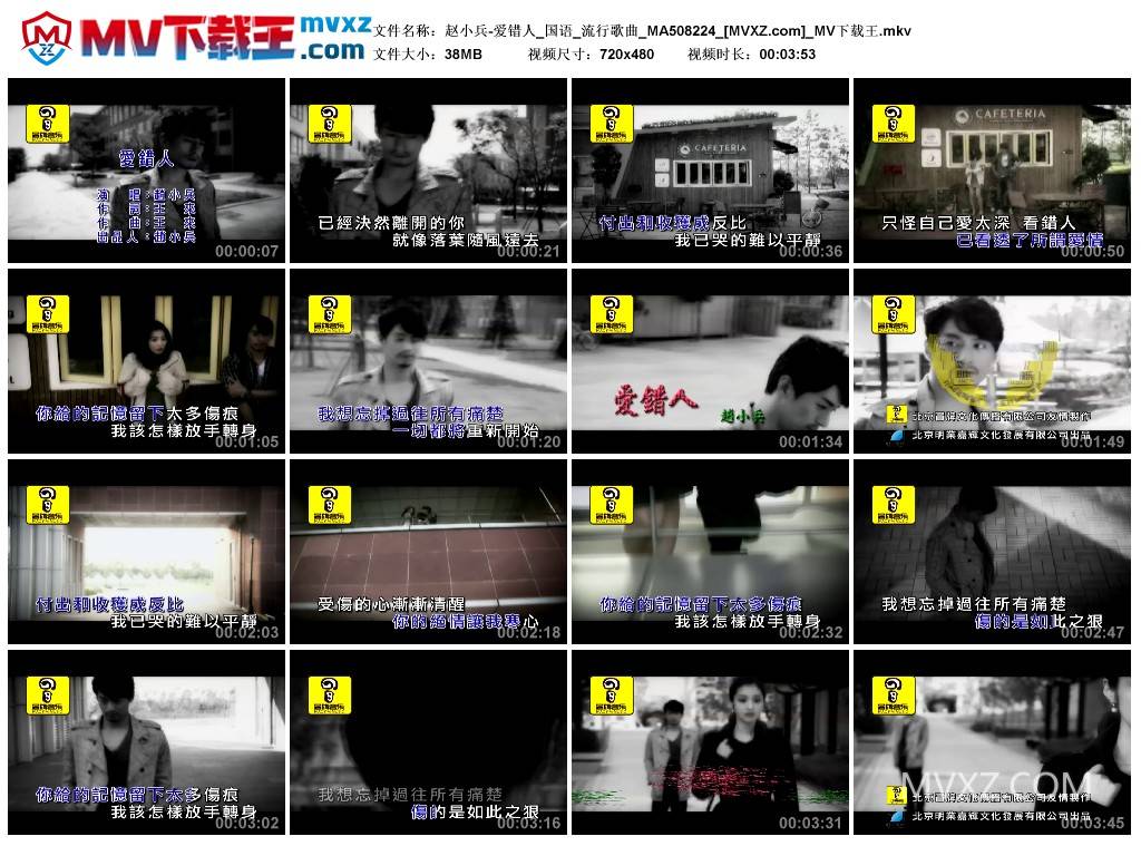 赵小兵-爱错人_国语_流行歌曲_MA508224